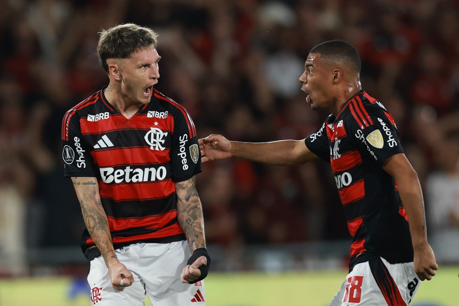 Estudiantes x Flamengo